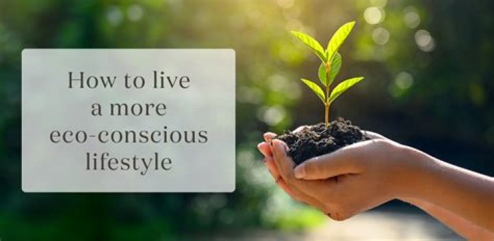 Inspiring Discoveries For The Eco-Conscious