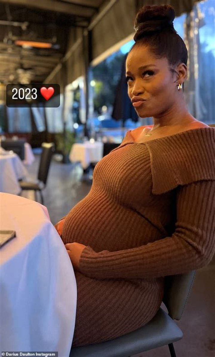 Pregnant Actress Keke Palmer Boyfriend Darius Daulton Jackson Net Worth ·