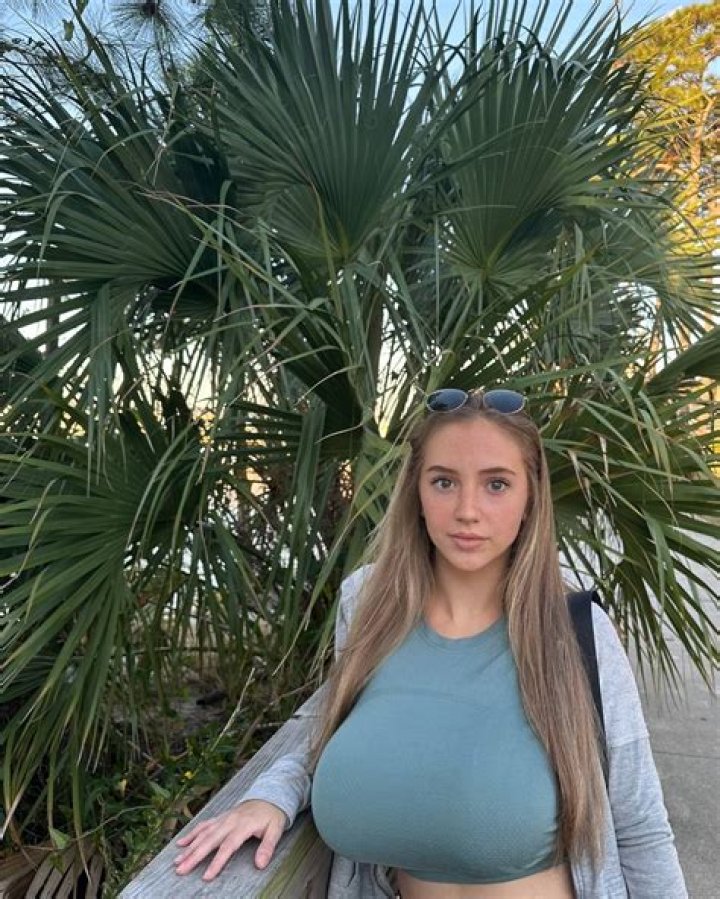 The 