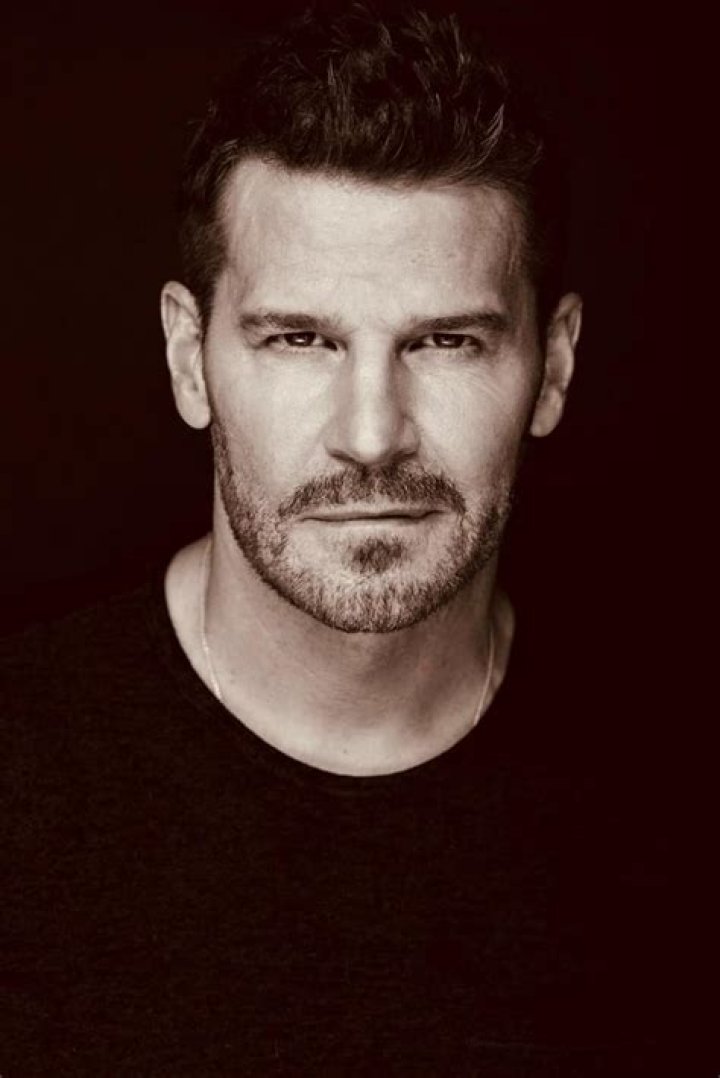 Uncover The Secrets Of David Boreanaz's Net Worth